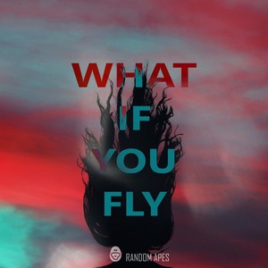 What If You Fly