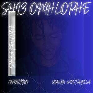 Shiz Omhlophe (feat. Ushun Westayela)