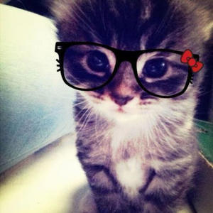 cosplay de chat >w< (Explicit)