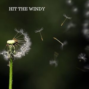 Hit the Wind