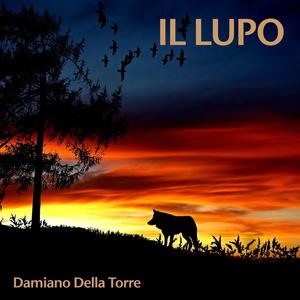 Il Lupo