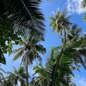 全口水旋律Vol.2