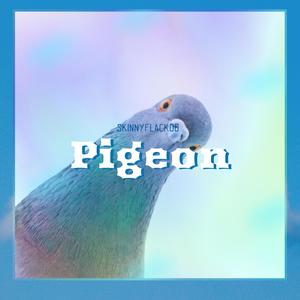 Pigeon (Explicit)