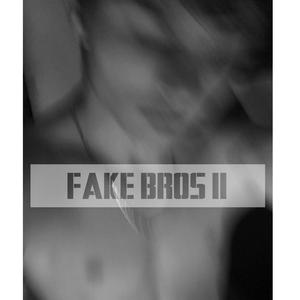 FAKE BROS 2 (Explicit)