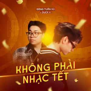 Không Phải Nhạc Tết (SS Remix)