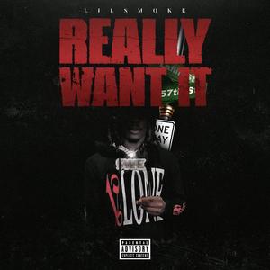 REALLY WANT IT (Explicit)