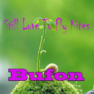 Still Love To Fly Kites