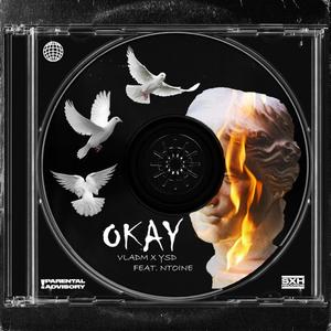 Okay (feat. VladM) [Explicit]