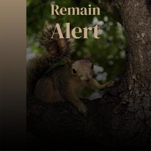 Remain Alert