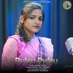 Pulsu Pulsu