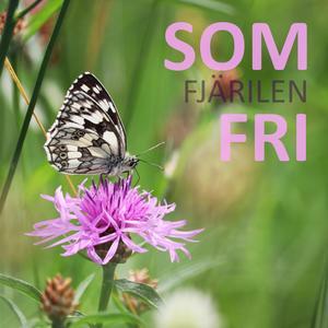 Som fjärilen fri