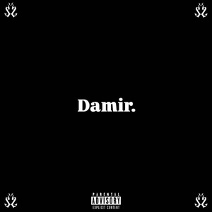 DAMIR