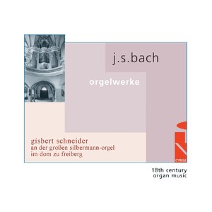 Gisbert Schneider - 9. Variation 8