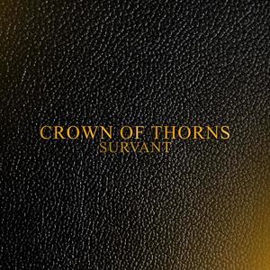 Te Amo (feat. ILLA & Miza)