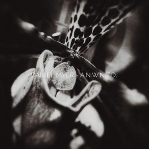 Broken Glas (feat. Celldod)