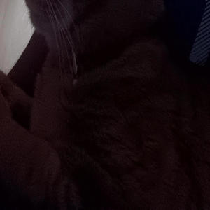 Numb (feat. Endurxnce4real) (Explicit)