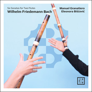 Flute Sonata No. 4 in F Major, F. 57 - I. Allegro e moderato
