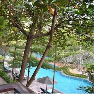 仰望星空 (男中音独唱)