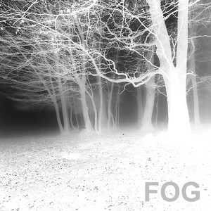 Fog