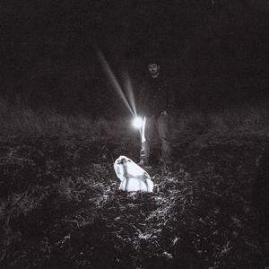 Onde Vivem os Carneiros