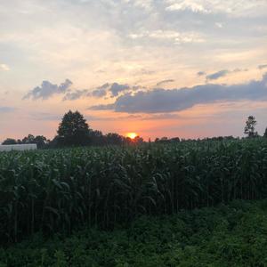 Space(Intro) (Explicit)