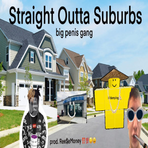 Straight Outta Suburbs (Explicit)