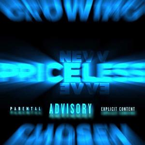 Priceless (Explicit)