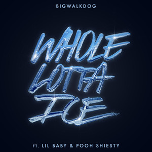 Whole Lotta Ice (feat. Lil Baby & Pooh Shiesty) [Explicit]