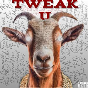 Tweak 2 (Explicit)
