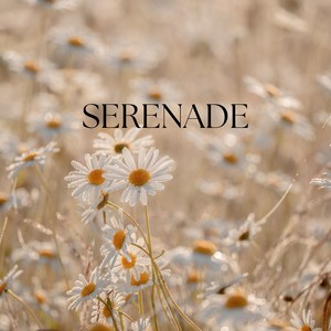 Serenade