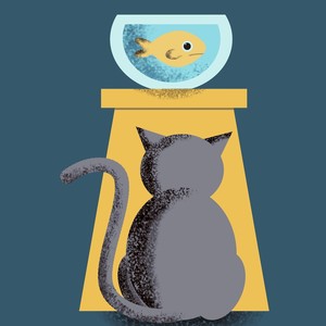 白羽衔 - 热力人生道