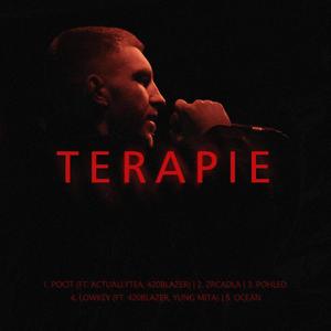 TERAPIE (Explicit)