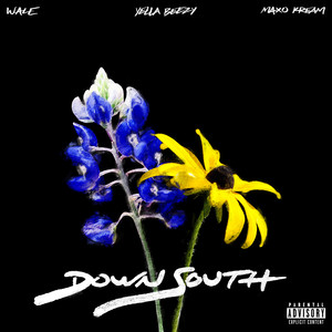 Down South (feat. Yella Beezy & Maxo Kream) [Explicit]
