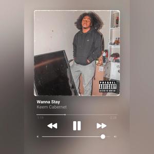 Wanna Stay (Explicit)