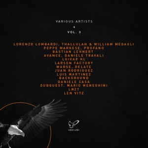 Survive (Original Mix)