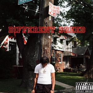 Different Breed (Explicit)