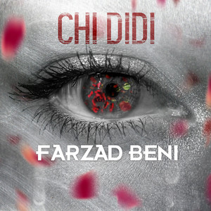 Chi Didi