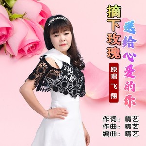 摘下玫瑰送给心爱的你 (DJ版)