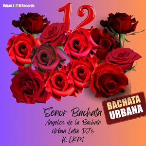 12 Rosas (Bachata Urbana)