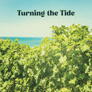 Turning the Tide (feat. Luis Canción)
