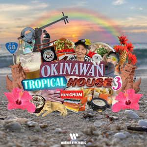 OKINAWAN TROPICAL HOUSE 3