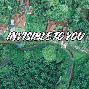 Invisible to You