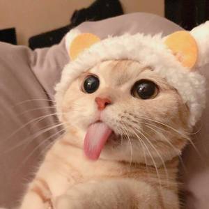 明年今日 (伴奏)