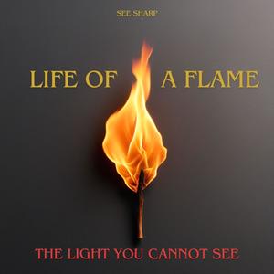 The light you cannot see