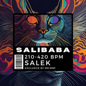 Salibaba (feat. SALEK)