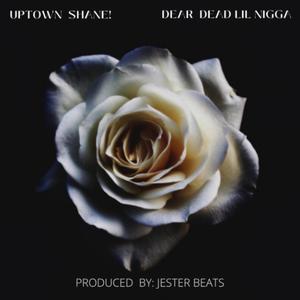 DEAR DEAD LIL NIGGA (Explicit)