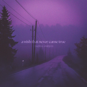 a wish that never came true