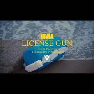 License Gun (Explicit)