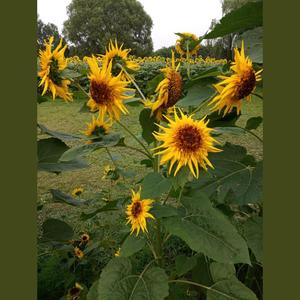 如远及近，如近及远