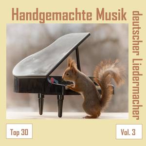 Top 30: Handgemachte Musik deutscher Liedermacher, Vol. 3